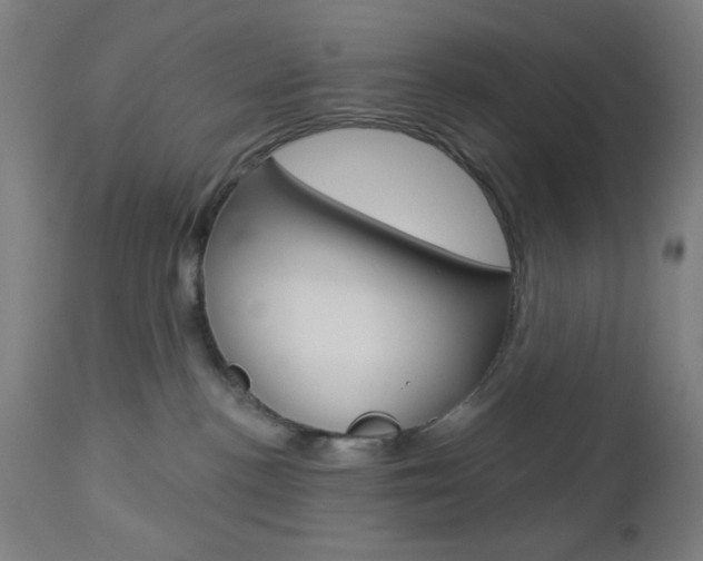 X0000112960188200908270927