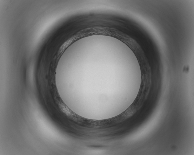 X0000112960189200908270927