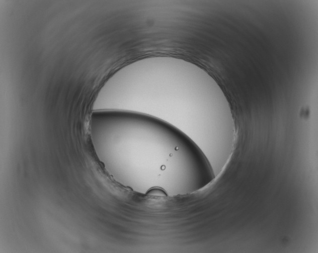 X0000112960190200908270927