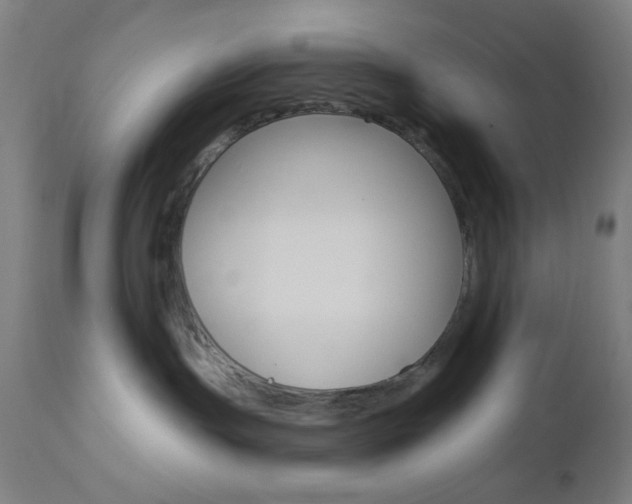 X0000112960191200908270927