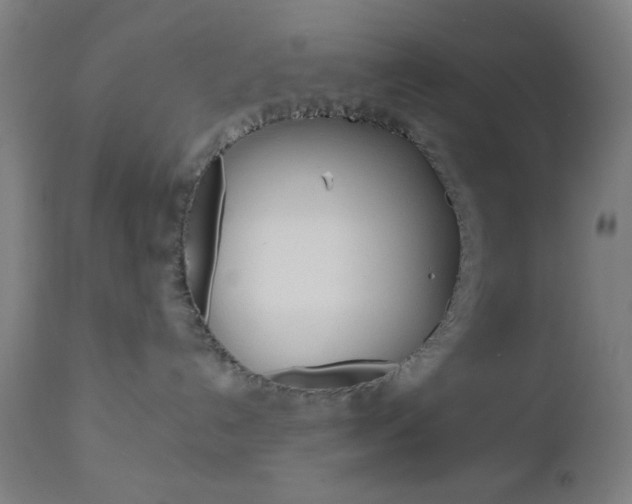 X0000112960192200908270928