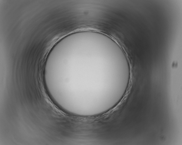 X0000112960193200908270927