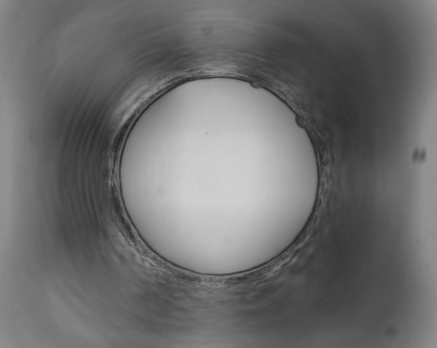 X0000112960194200908270927