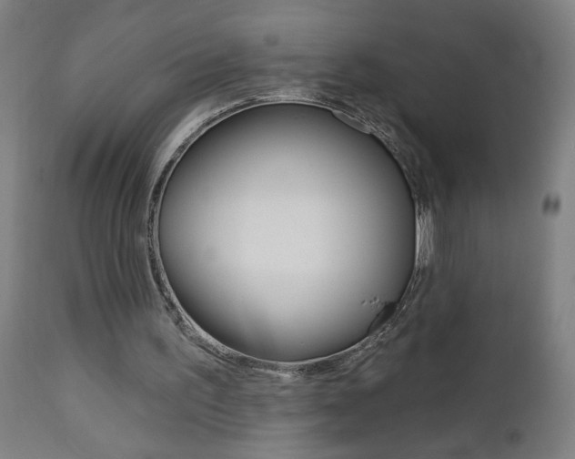 X0000112960195200908270927