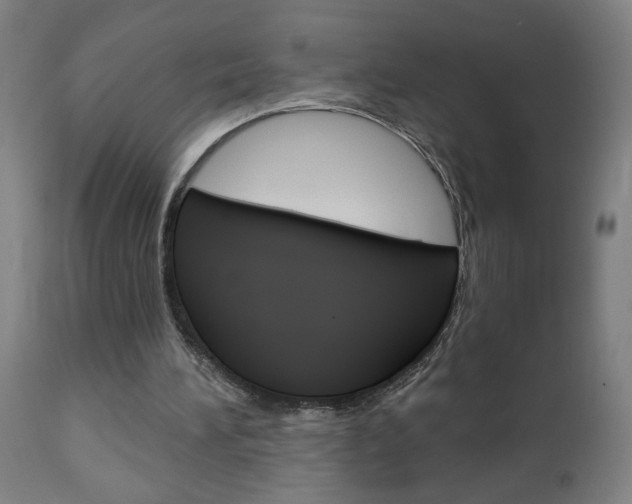 X0000112960196200908270927