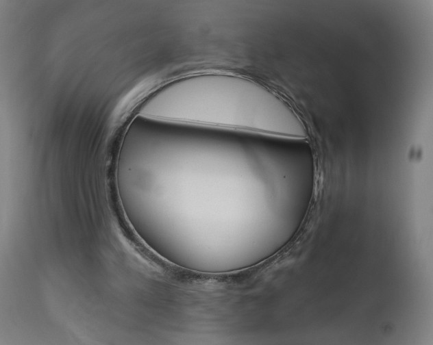 X0000112960197200908270927