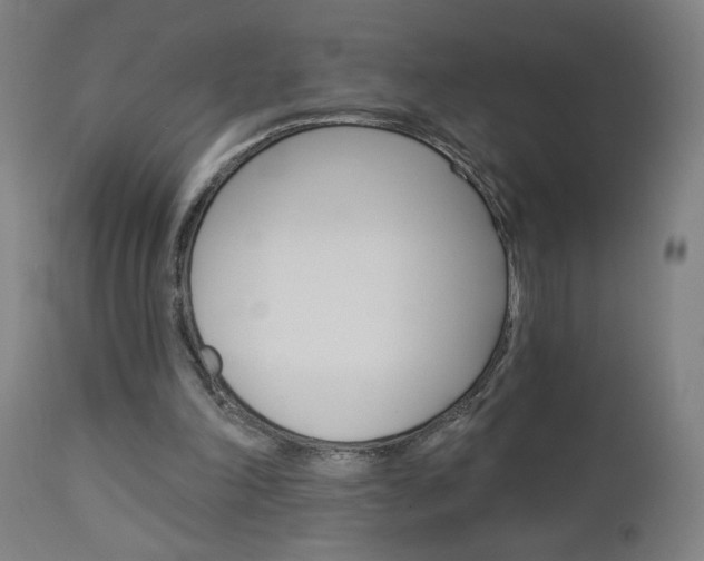 X0000112960198200908270927