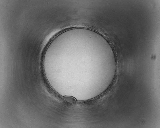 X0000112960200200908270927