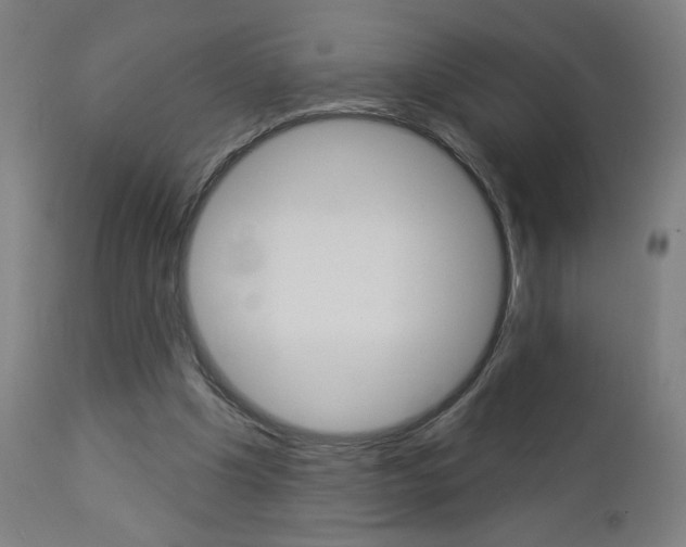 X0000112960201200908270927