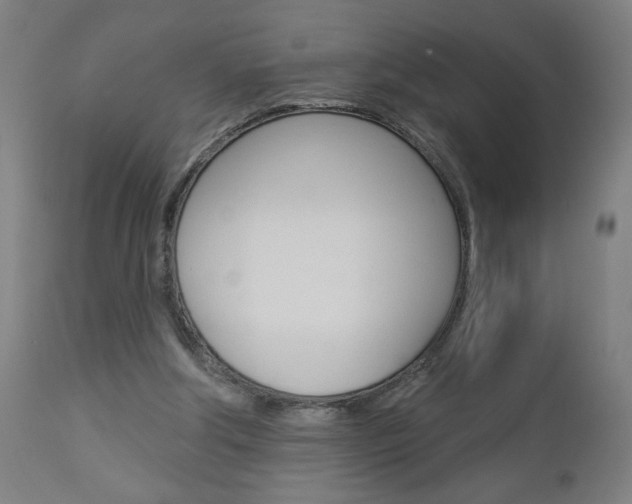 X0000112960202200908270927