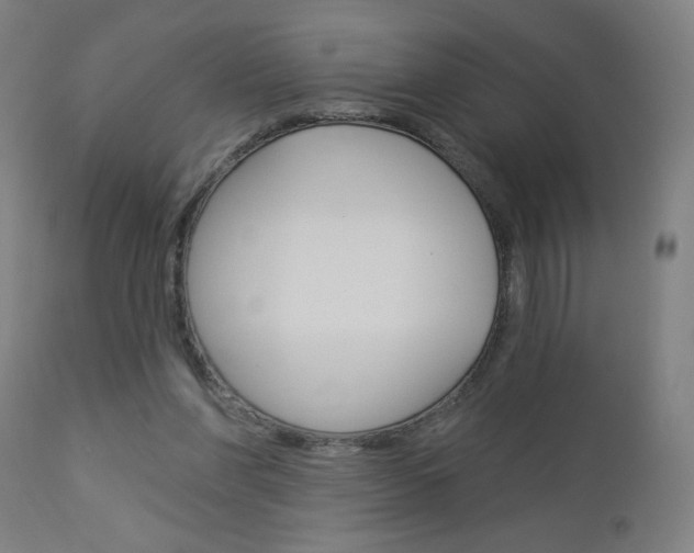 X0000112960206200908270927