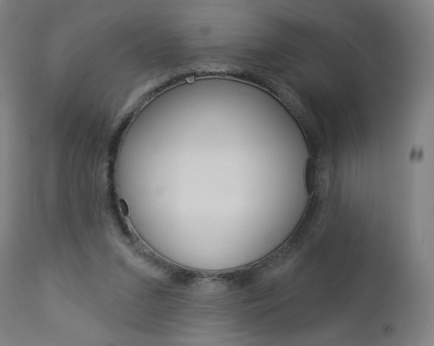 X0000112960207200908270927