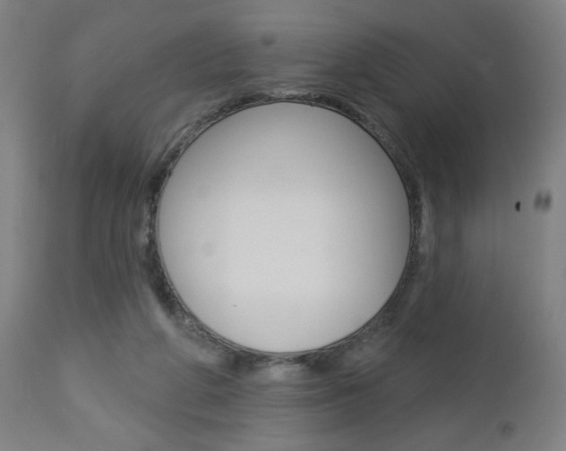 X0000112960210200908270927