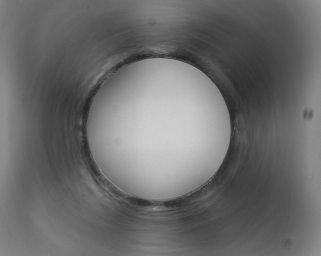 X0000112960212200908270927