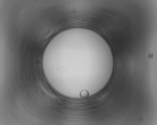 X0000112960215200908270927