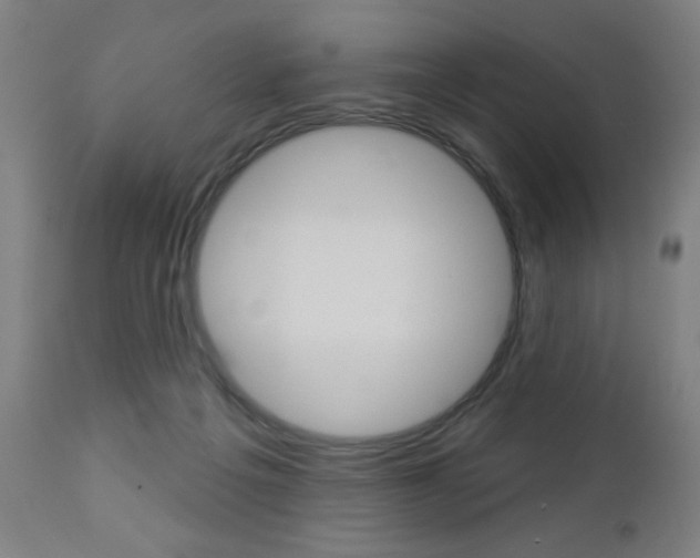 X0000112960217200908270927