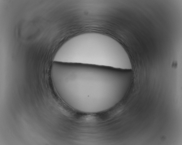 X0000112960219200908270926