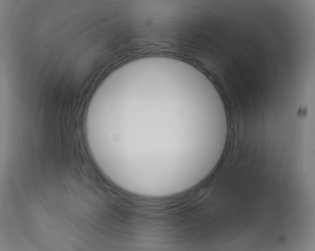 X0000112960221200908270926