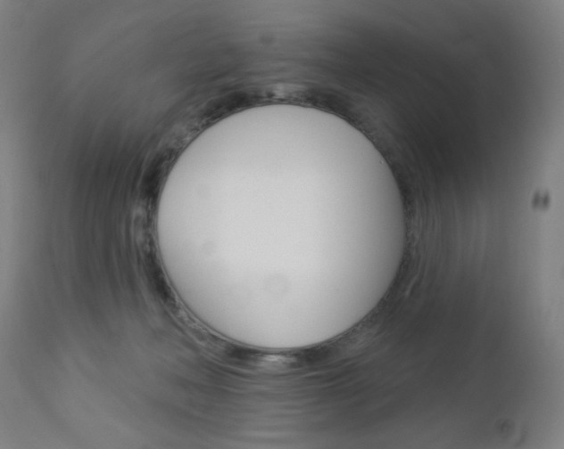 X0000112960222200908270926