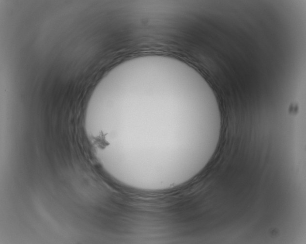 X0000112960223200908270926