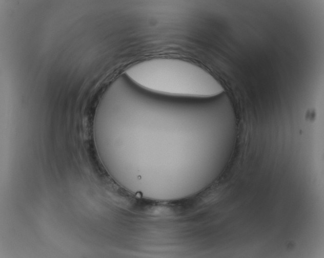 X0000112960224200908270926