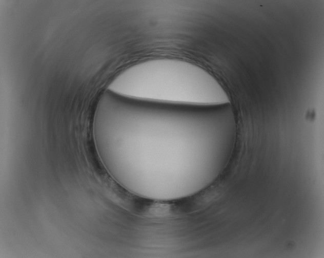 X0000112960227200908270926