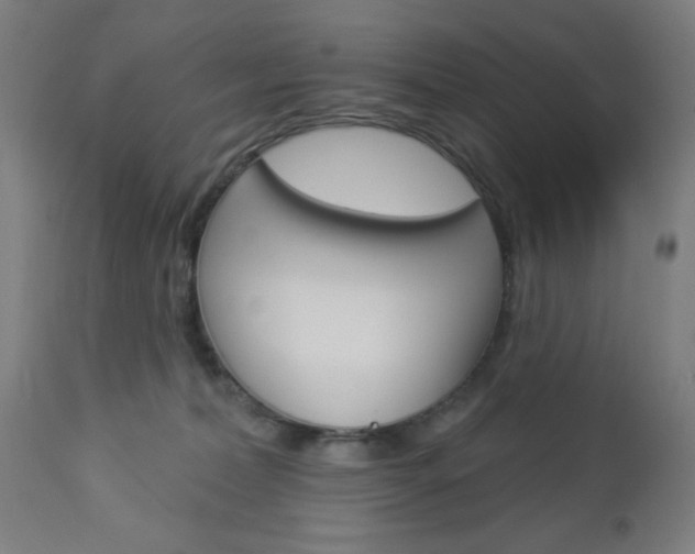 X0000112960228200908270926