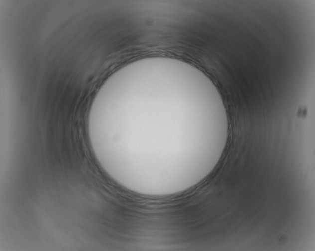 X0000112960229200908270926