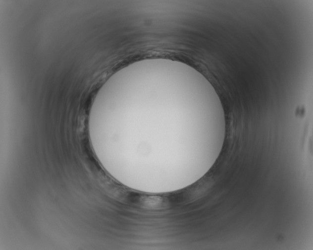 X0000112960230200908270926