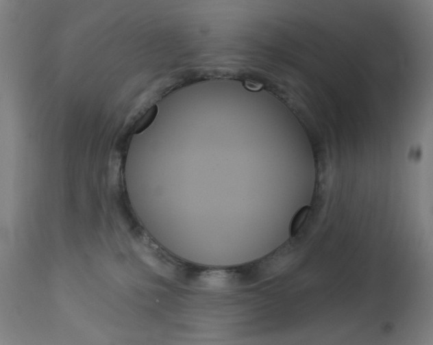 X0000112960231200908270926