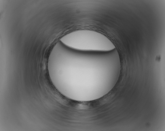 X0000112960232200908270926