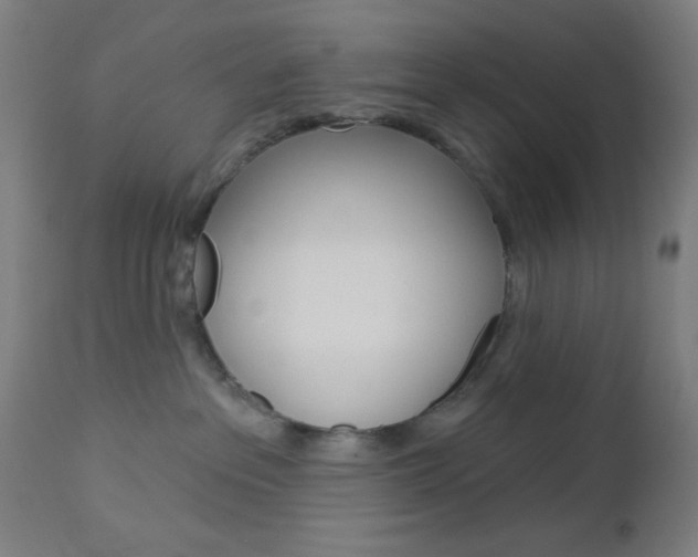 X0000112960237200908270926