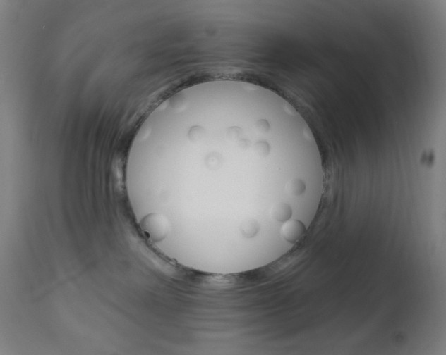 X0000112960238200908270926