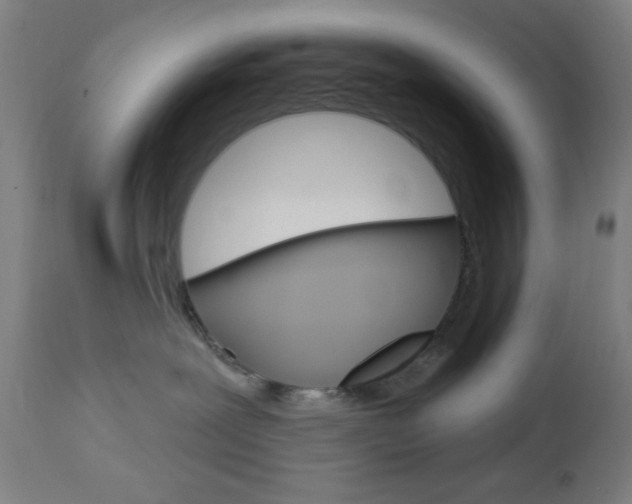 X0000112960239200908270926