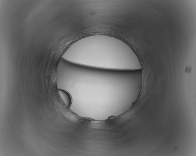 X0000112960240200908270926