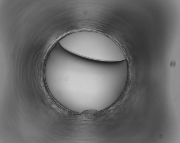 X0000112960241200908270926
