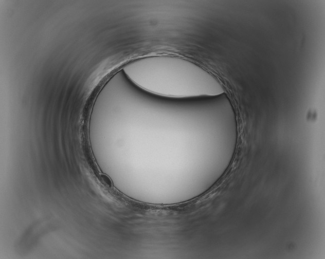 X0000112960242200908270926