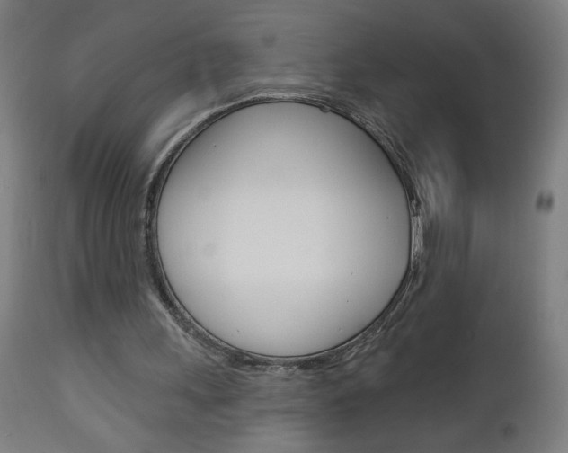 X0000112960243200908270926
