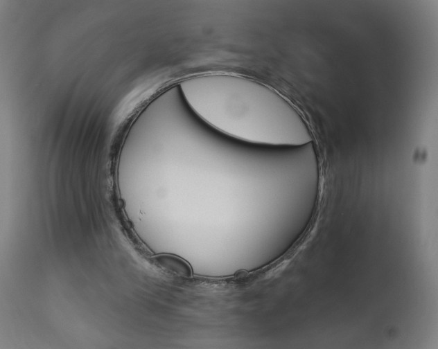 X0000112960245200908270926