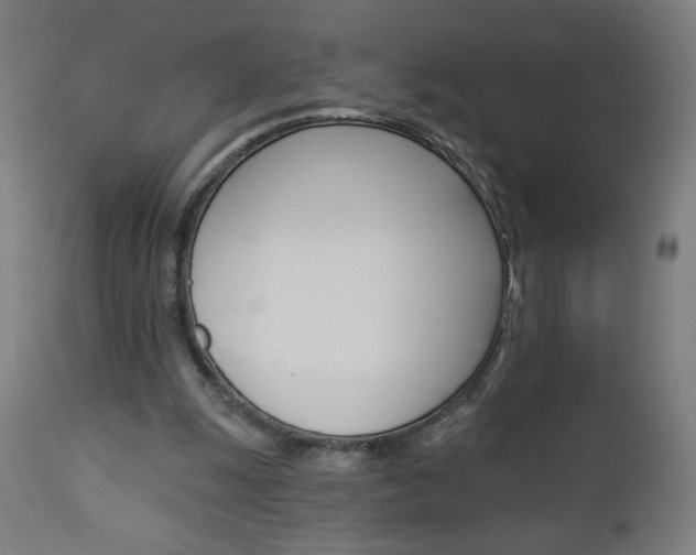 X0000112960247200908270926