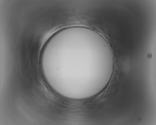 X0000112960248200908270926