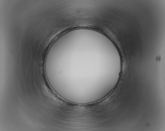 X0000112960249200908270926