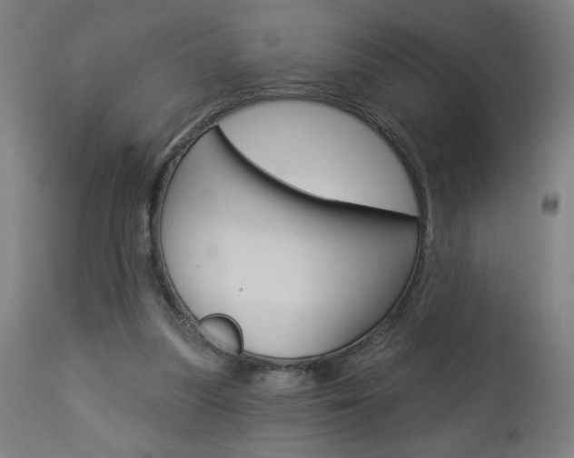 X0000112960251200908270926