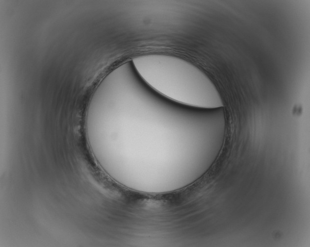 X0000112960255200908270926