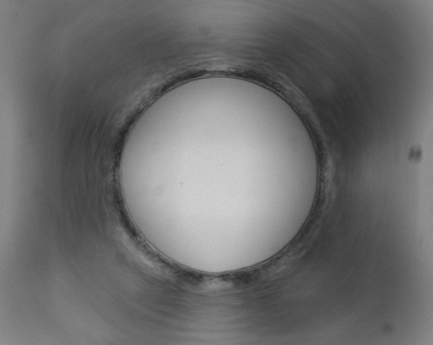 X0000112960257200908270926