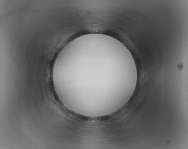 X0000112960259200908270926