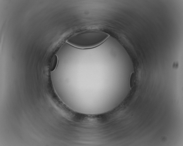X0000112960260200908270926