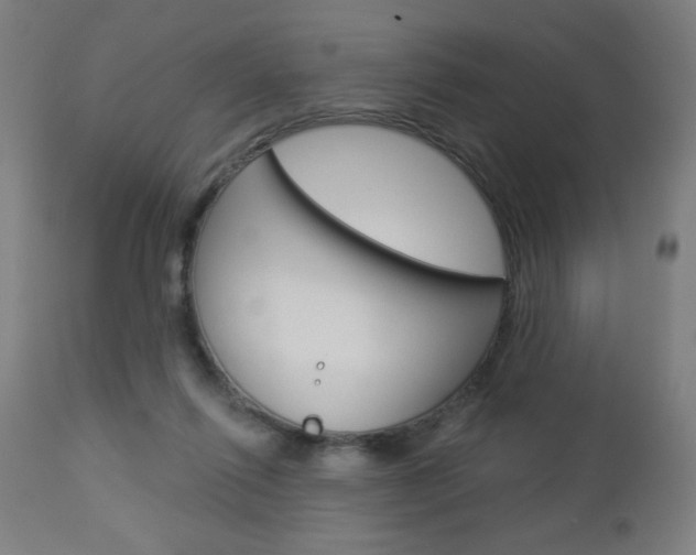X0000112960262200908270926