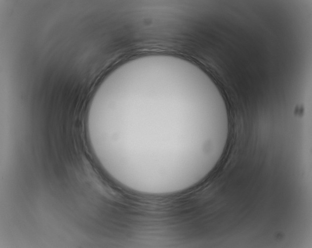 X0000112960264200908270926