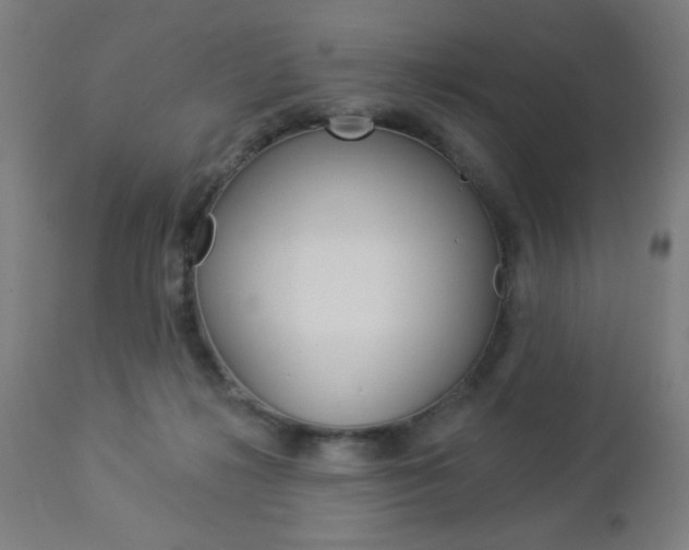 X0000112960268200908270926